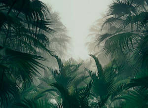 Designwalls 2: Designwalls 2 - Palm Forest