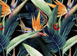 Designwalls 2: Designwalls 2 - Rainforest
