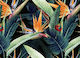 Designwalls 2 - Rainforest