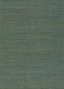 Grasscloth PSF63
