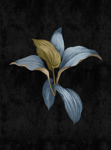 Override Tax For Pricecalculator App: Walls by Patel 3 - Fiji Calathea