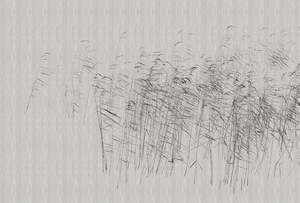 Walls By Patel 3: Walls by Patel 3 - At the Pond