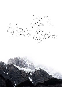 Artist: ARTist - The Mountains