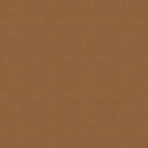 Samples: Color Pop - Toasted Honey Linen