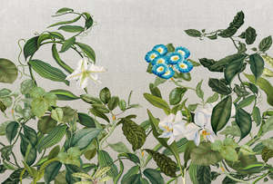 Atelier 47 - Botanic Sketch