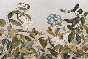 Atelier 47 - Botanic Sketch