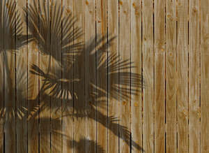 Override Tax For Pricecalculator App: Designwalls 2 - Shade of Palm