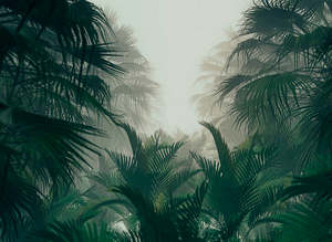Override Tax For Pricecalculator App: Designwalls 2 - Palm Forest