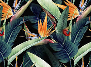 Designwalls 2 - Rainforest