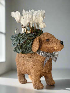 Dog Planter