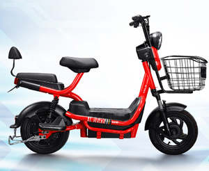 Electric Bikes: Z3 - 2 Seater Family E-Bike