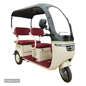 Electric Tricycles E Trikes: TM8 - Electric Mobility Plus Tricycle with Canopy
