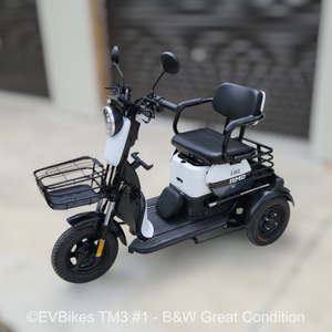 Electric Tricycles E Trikes: TM3 (Pre-owned/Ex-demo) - Electric Mobility Plus Tricycle