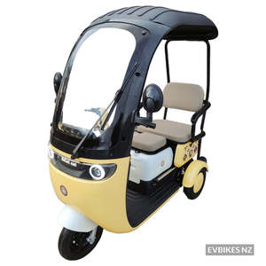 Electric Tricycles E Trikes: TM7 (AW Protector) - Electric Mobility Plus Tricycle with Canopy