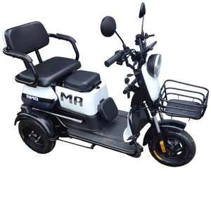 Electric Tricycles E Trikes: TM3 - Electric Mobility Plus Tricycle