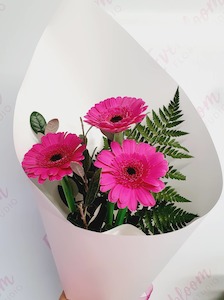 Flowers: Trio of Gerberas