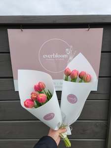 Tulip Cheer