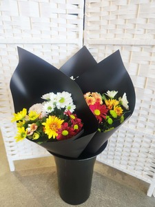 50 And Less: Multi Colour Spray Chrysanthemums