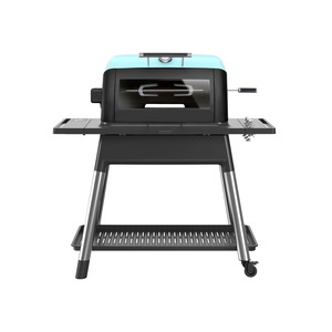 Ultimate Grill Set Up: Gas Rotisserie Kit