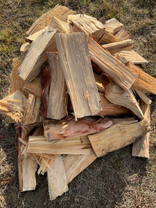 Potbelly wood - bagged Luggate Logging