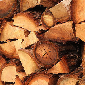 Products: 4.5m3 FIREWOOD - Orgeon Luggate Logging