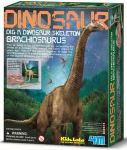 4M Science Brachiosaurus Skeleton