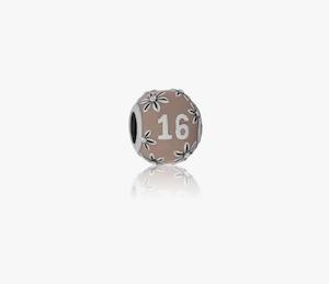 Evolve Charms Enamel Sixteen LKE082