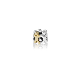 EVOLVE CHARMS FAMILY CIRCLE (GOLD)