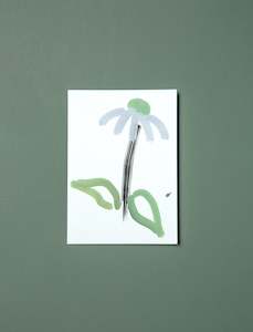 Christmas Decorations Gift Wrapping: Echinacea Greeting Card
