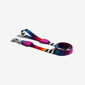 Dog Collars Dog Harnesses And Leads: Zee.Dog Leash - Prisma
