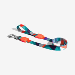 Dog Collars Dog Harnesses And Leads: Zee.Dog Leash - Ella