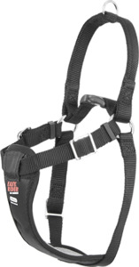 Dog Collars Dog Harnesses And Leads: Coastal Easy Rider Car Dog Harness