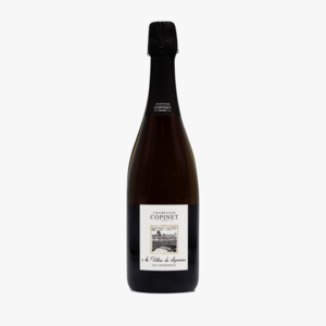 Sparkling Wines: Champagne Marie Copinet Au Detour du Sezannais Blanc de Blancs