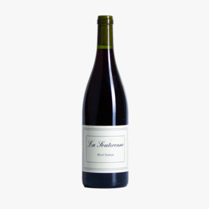 Chilled Reds: 2024 Hervé Souhaut 'La Souteronne' Gamay Noir
