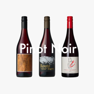 Pinot Noir Mixed Case of 12 Deal