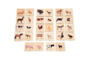 Products: Domestic Animal Family Match