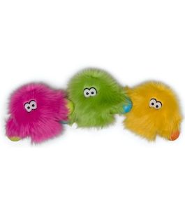 ROWDIES - TAYLOR - Everything Dog