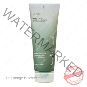 ANUA Heartleaf Succinic Moisture Cleansing Foam 150ml Eve's Shoppe