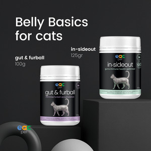 Belly Basics for Cats