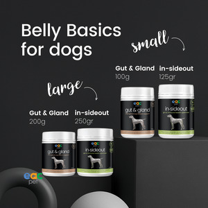 Belly Basics for Dogs