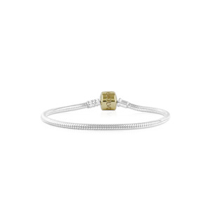 Charm Carriers: Evolve Signature Bracelet (Gold Clasp)