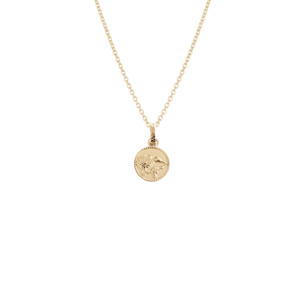 Kiwi Coin Necklace (Iconic) - Gold