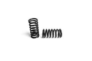 Replacement Truck Springs for Renegade Diablo