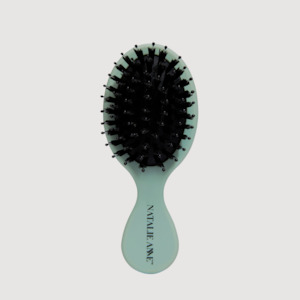 Hair Styling Brushes Combs: Natalie Anne Mini Wet & Dry Brush