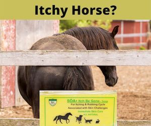 SOA Itch Be Gone Soap 300gm