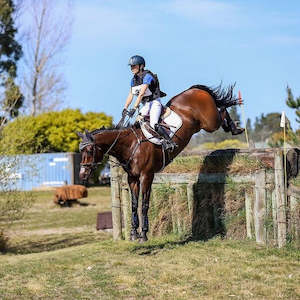 Flair Equine Nasal Strips