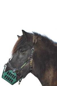 Green Guard: Greenguard Breakaway Halter