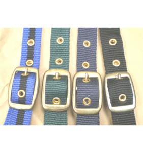 Accessories For Horse: Eventor Web Halter