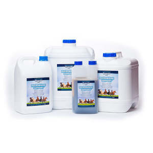 Supplements: Dynavyte MBS Equine