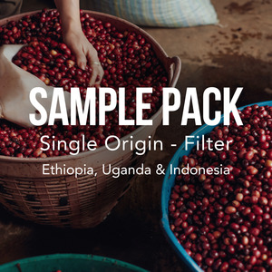 Coffee: Sample Tasting Pack - Single Origin Filter